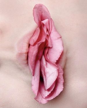 Pussy Flower