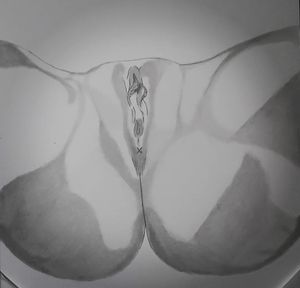 Drawn pussy art