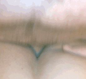 Pounding that ass from behind