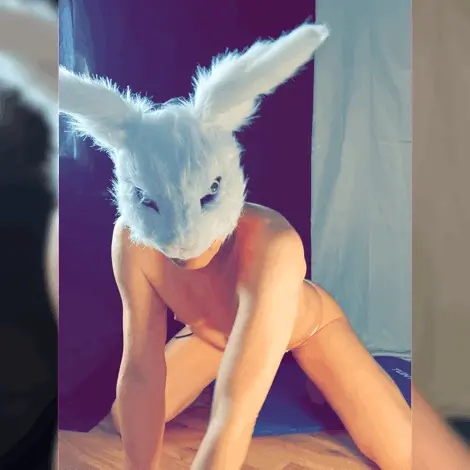 Bunny