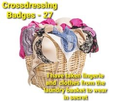 Badge #27