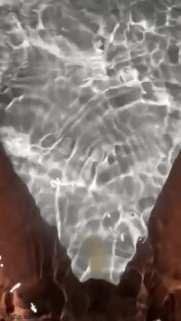 Pissing in Bath Water
