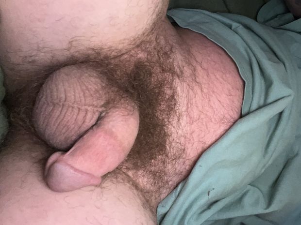 Hairy cock anyone like