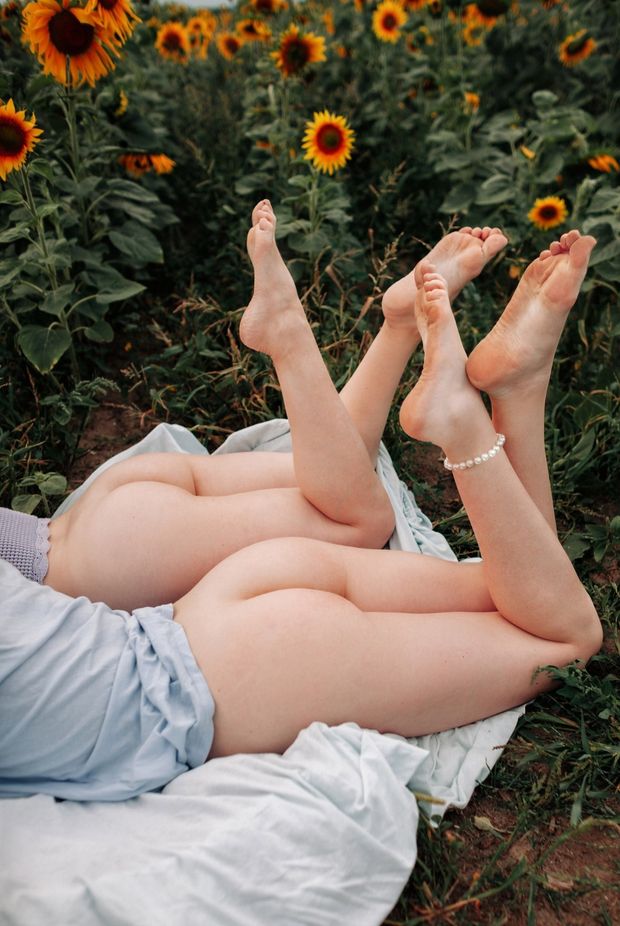 Two cute white ass wondering in nature