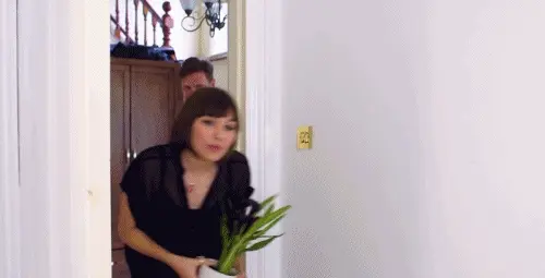 I love catching people having sex !