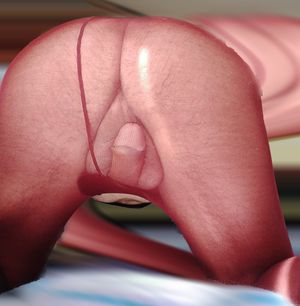 Slide down my pantyhose