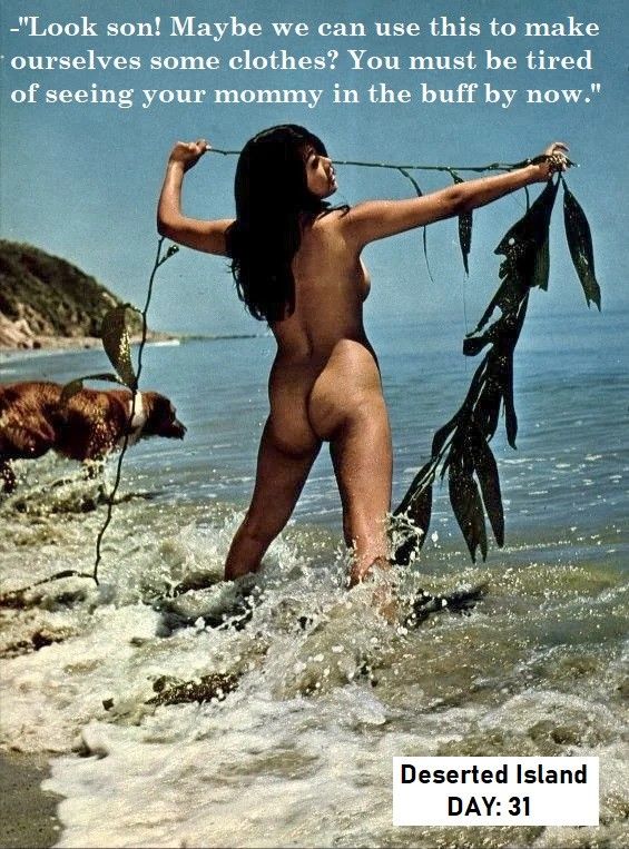 Seaweed