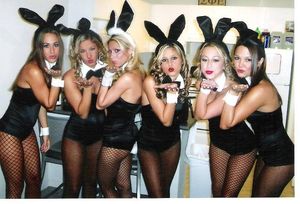 bunnies in fishnets