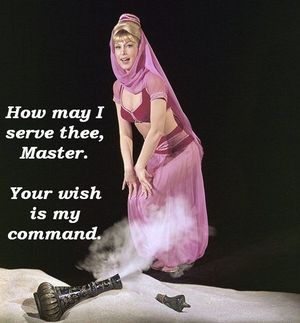 Barbara Eden. Cum to think of it. I do have a wish