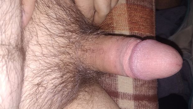 cock Ready to be sucked