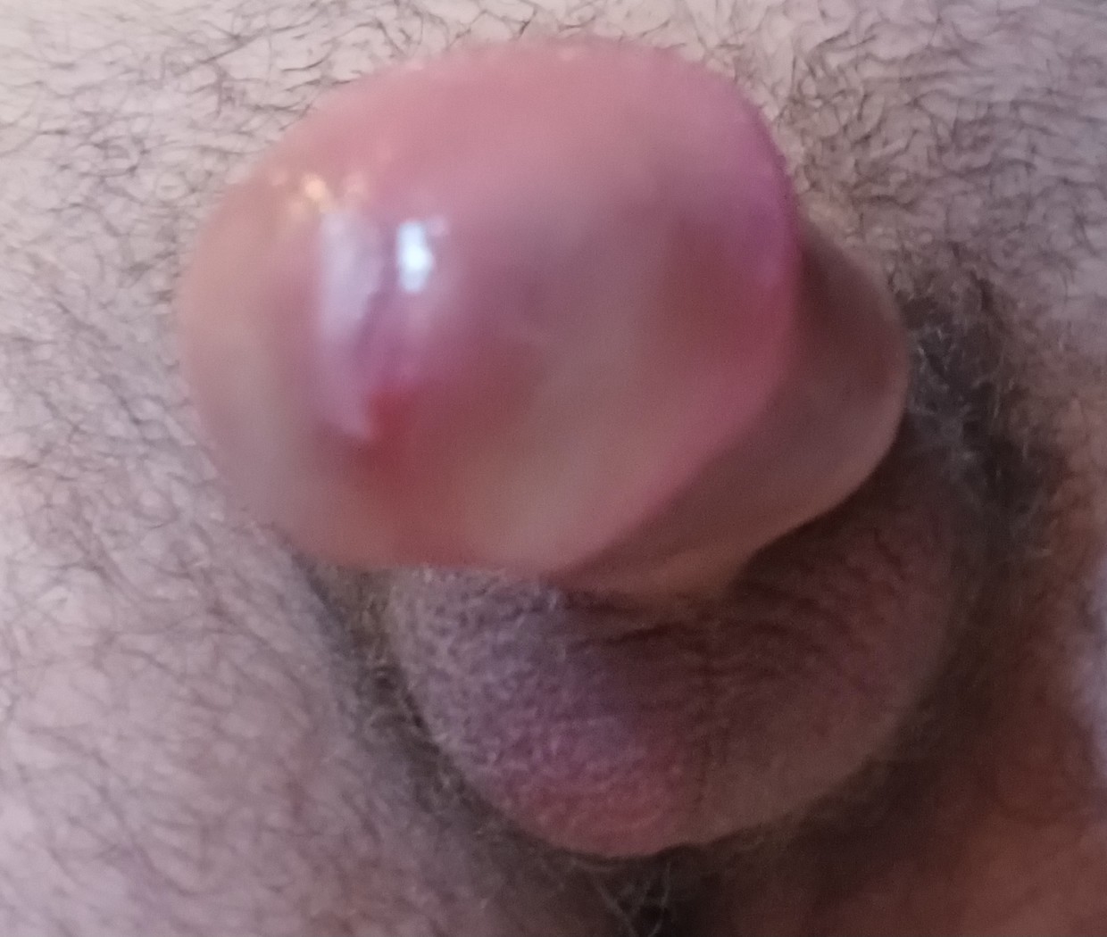 who can empty me?