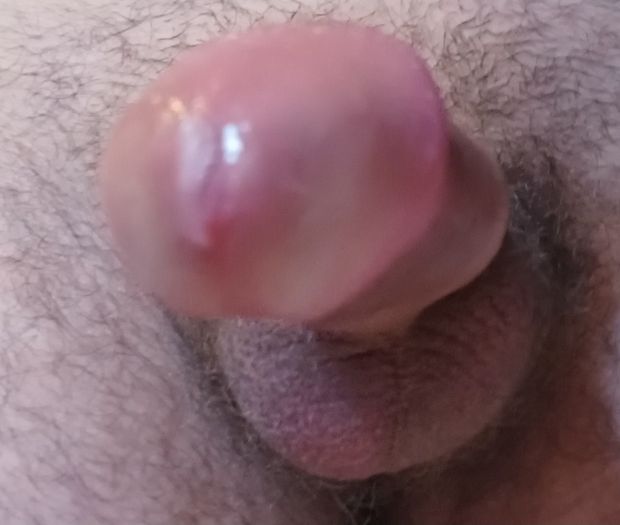 who can empty me?