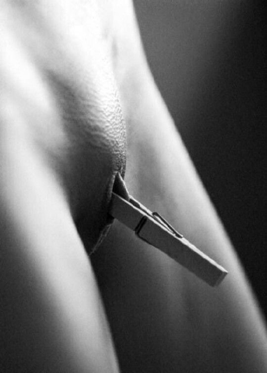 Clothes pin