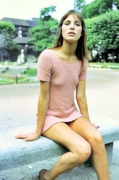 Dolly looking for the lifeguard