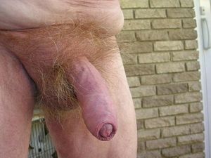 Big fat Silver Daddy Uncut Cock. Mmmm