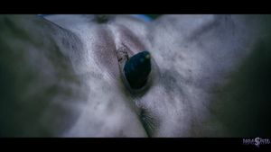 Getting infected and controlled on PARASITED