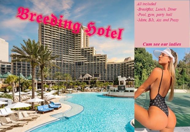 The Hotel