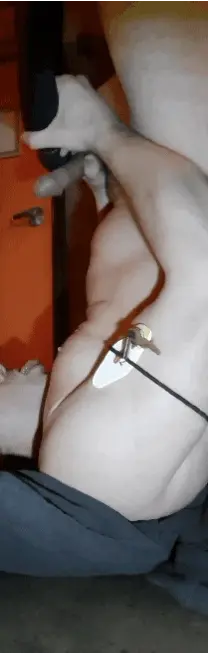 Cuckold sissy faggot cums in own mouth