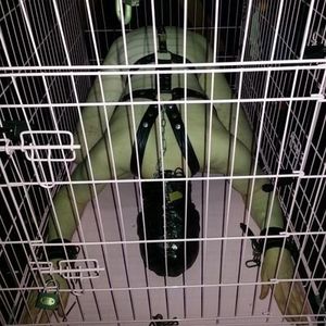 SPGslave Picture