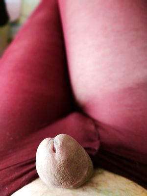 My cock in my pantyhose