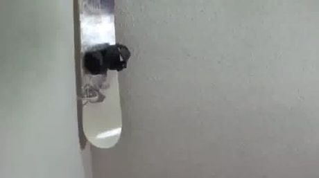 Stefania Mafra trampling