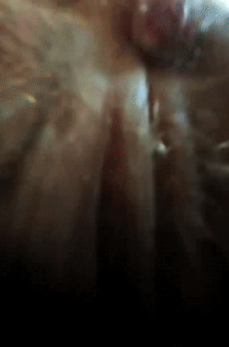 POV facesitting