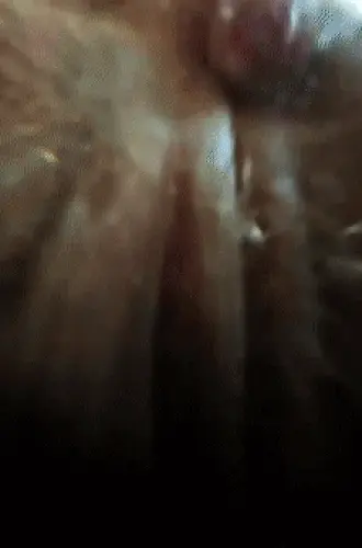 POV facesitting