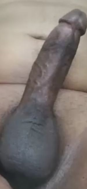 Nice dark Desi dick and balls