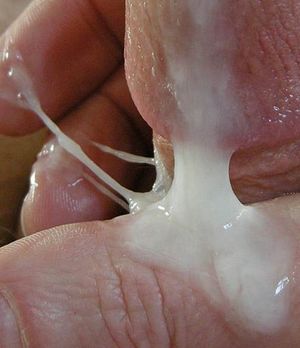 Lick it off grandpa's hands