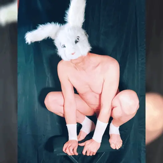 Bunny