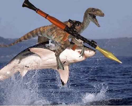 I'm the Raptor or the Shark, I like riding as much as being ridden. Bring an RPG-7 and it doesn't matter if you're M or F.