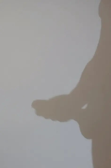 Silhouette