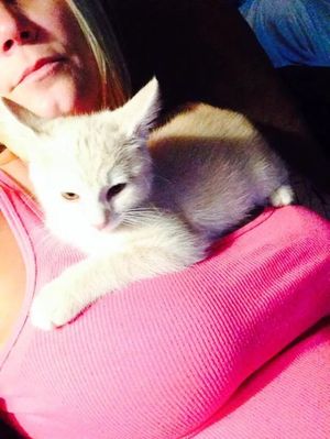 Ruth invited me over to see her pussy, not what i expected, but if i stick around she said she will show me her growler.. HER DOG MAYBE?????