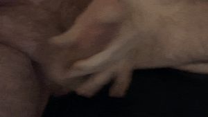 stiff cock cumshot