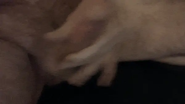 stiff cock cumshot