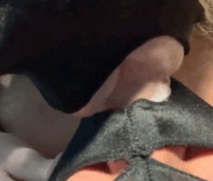 Give it all to him, don’t hold back