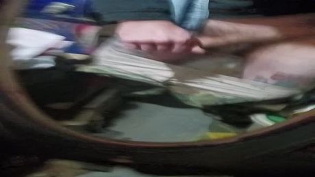 Not a set of tits or a pussy to creampie????