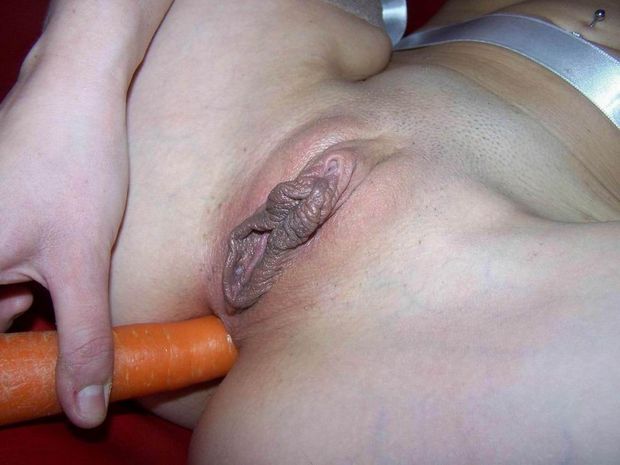 Carrot