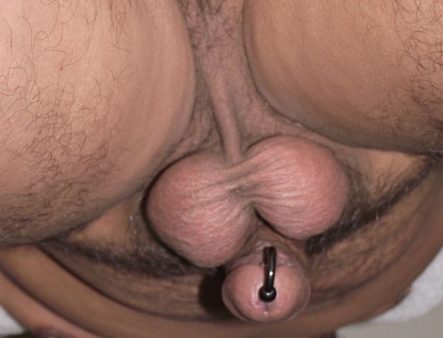 crotch from below