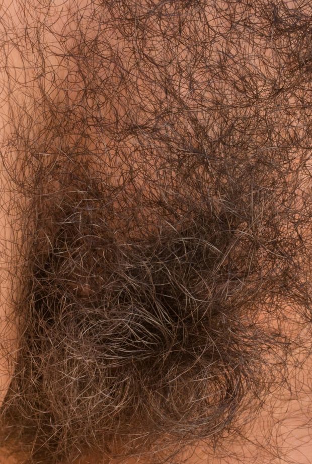 bushy pussy