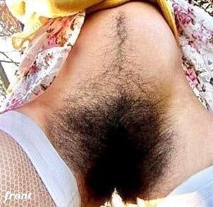 masssive bush