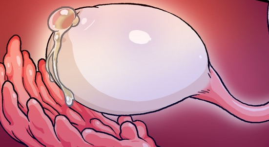 Ovulation