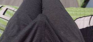 Una polla despierta con ganas de follar vaginas