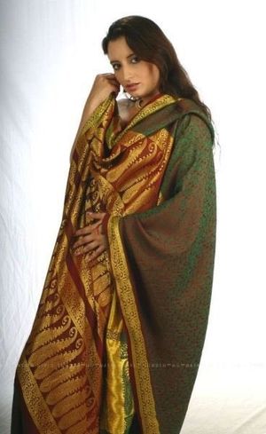 unknown brunette in saree 1