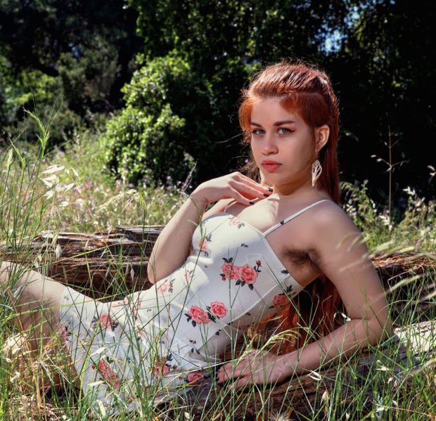 Meadowlark