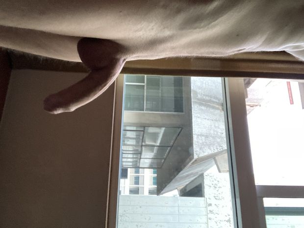 Shy dick