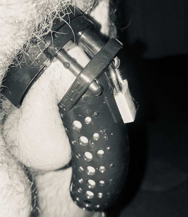 Locked cock