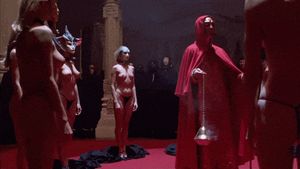 A pleasant look around at the circle of naked masked women just before the ritual - Eyes Wide Shut Orgy