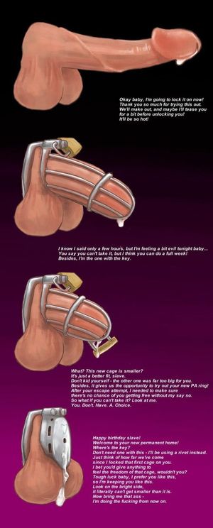 evolution of the cock size in a chastity cage