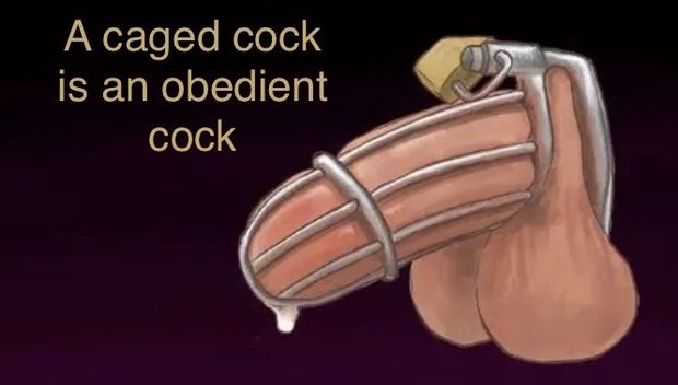Lock his cock up